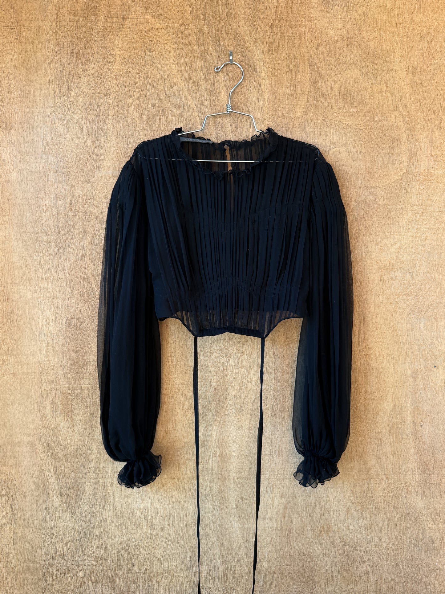 Alberta Ferretti Silk Chiffon Pleated Blouse