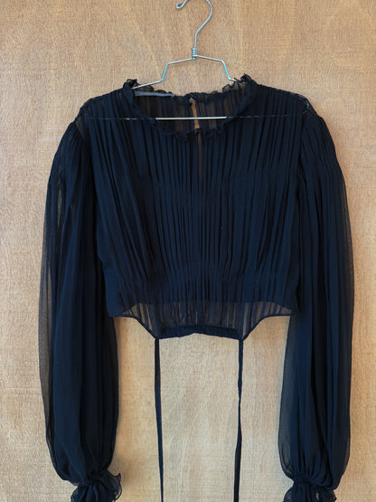 Alberta Ferretti Silk Chiffon Pleated Blouse
