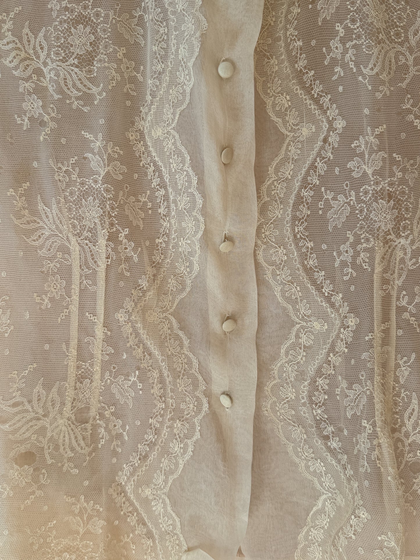 Antique Sheer Lace Blouse
